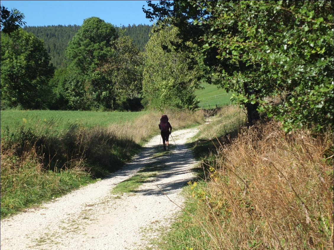 Les chemins blancs laissent vite la place à un sentier qui grimpe dans la forêt vers le refuge de Nave ; nous récupérons le GR9 dans la montée.