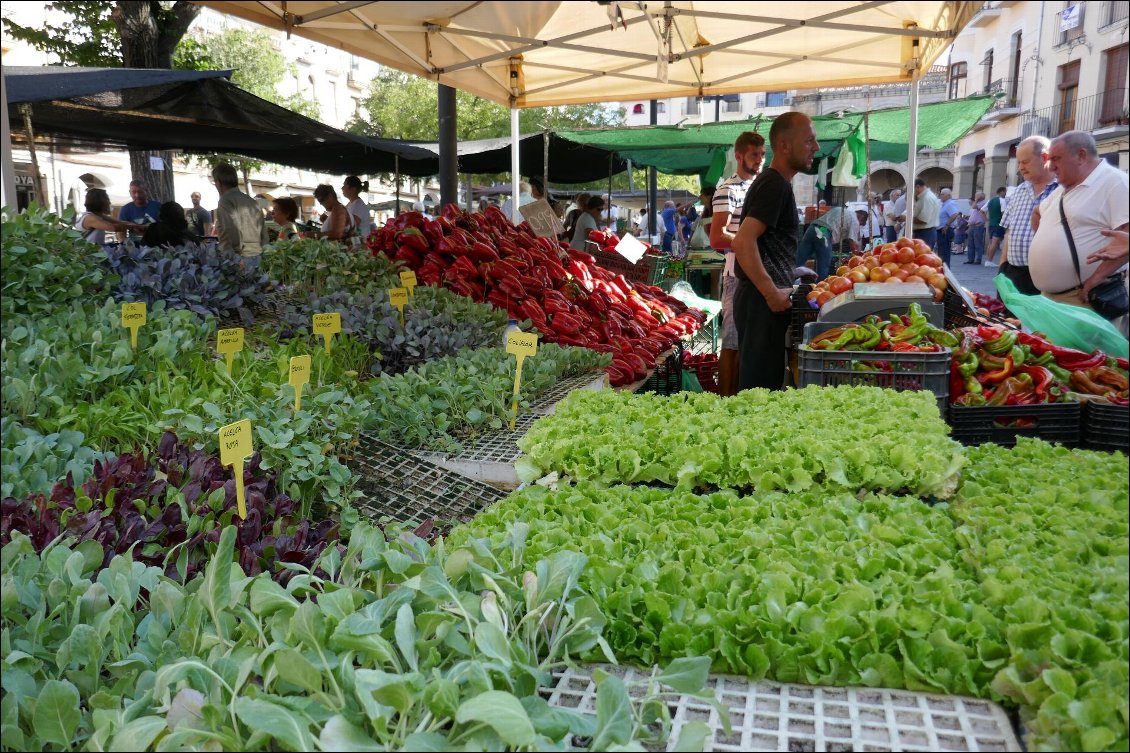 C'est jour de marché à Plasencia