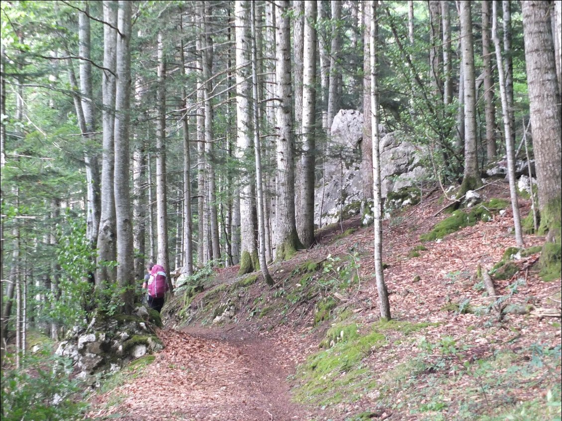 Villars de Lans >vallée de Rencurel