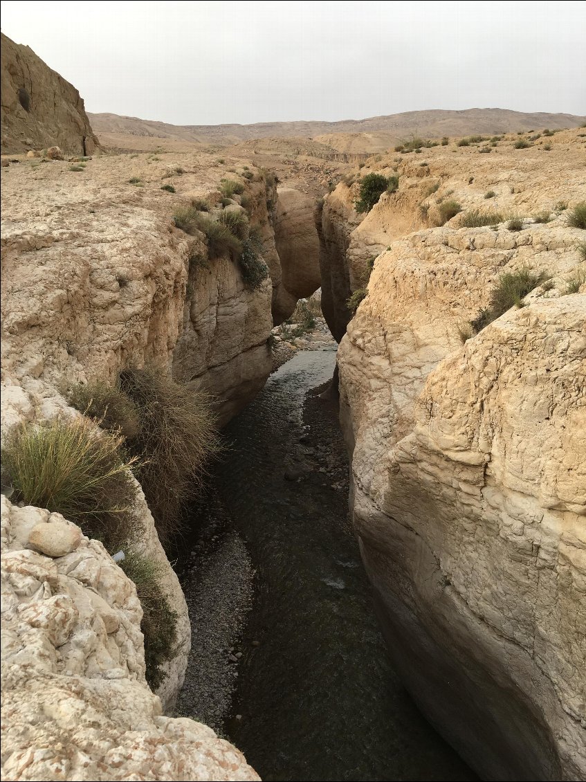 .... et au milieu coule une rivière...