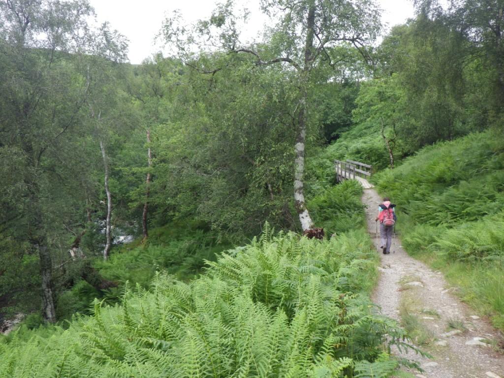 Le long de la rivière Folloch