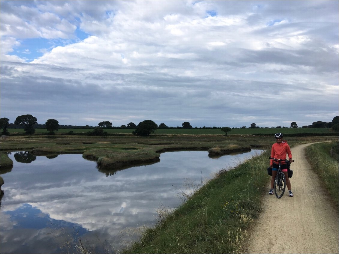 Les derniers marais