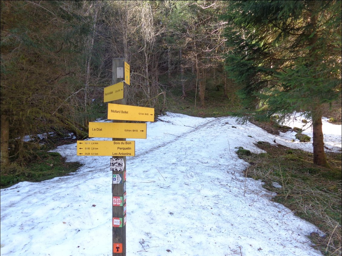 rapidement, on descend au ruisseau du Guiers, le pont de la laiterie et c'est parti...