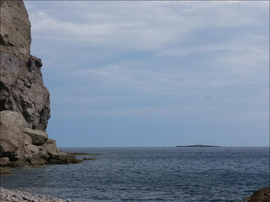 La colonie d'otaries est installée sur la petite île plate au loin