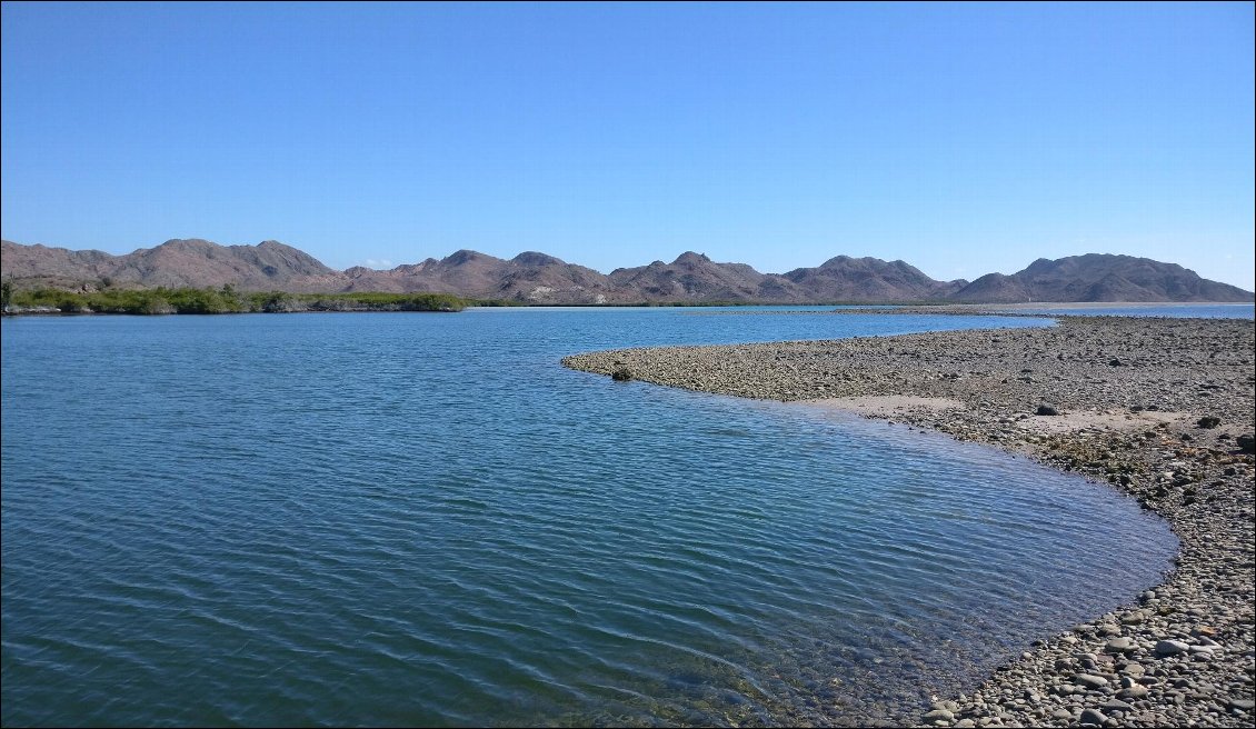 L'étang et sa mangrove.