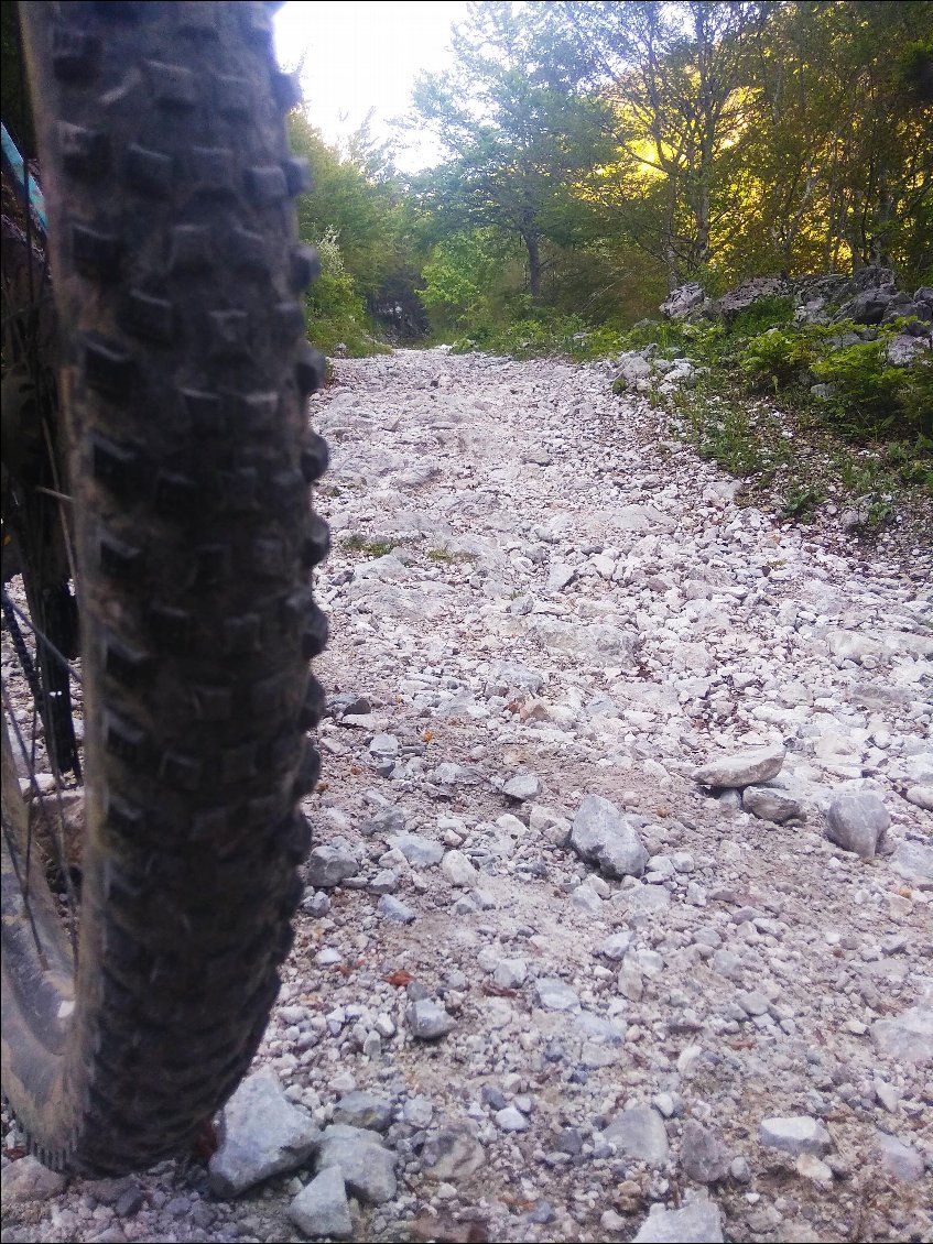 La piste est pentue caillouteuse....ça pousse longtemps. 