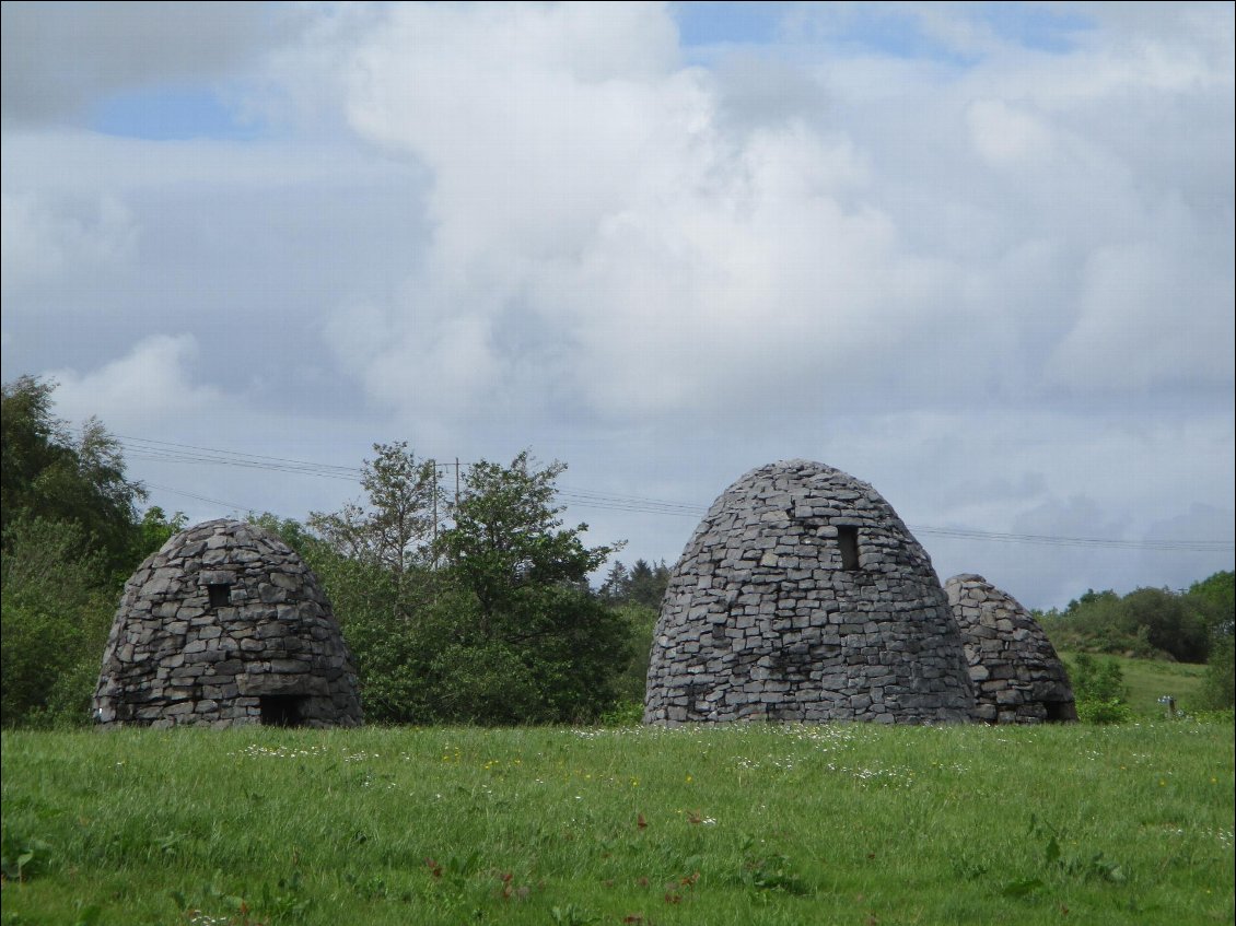 Les beehives à l'entrée de Killybegs.