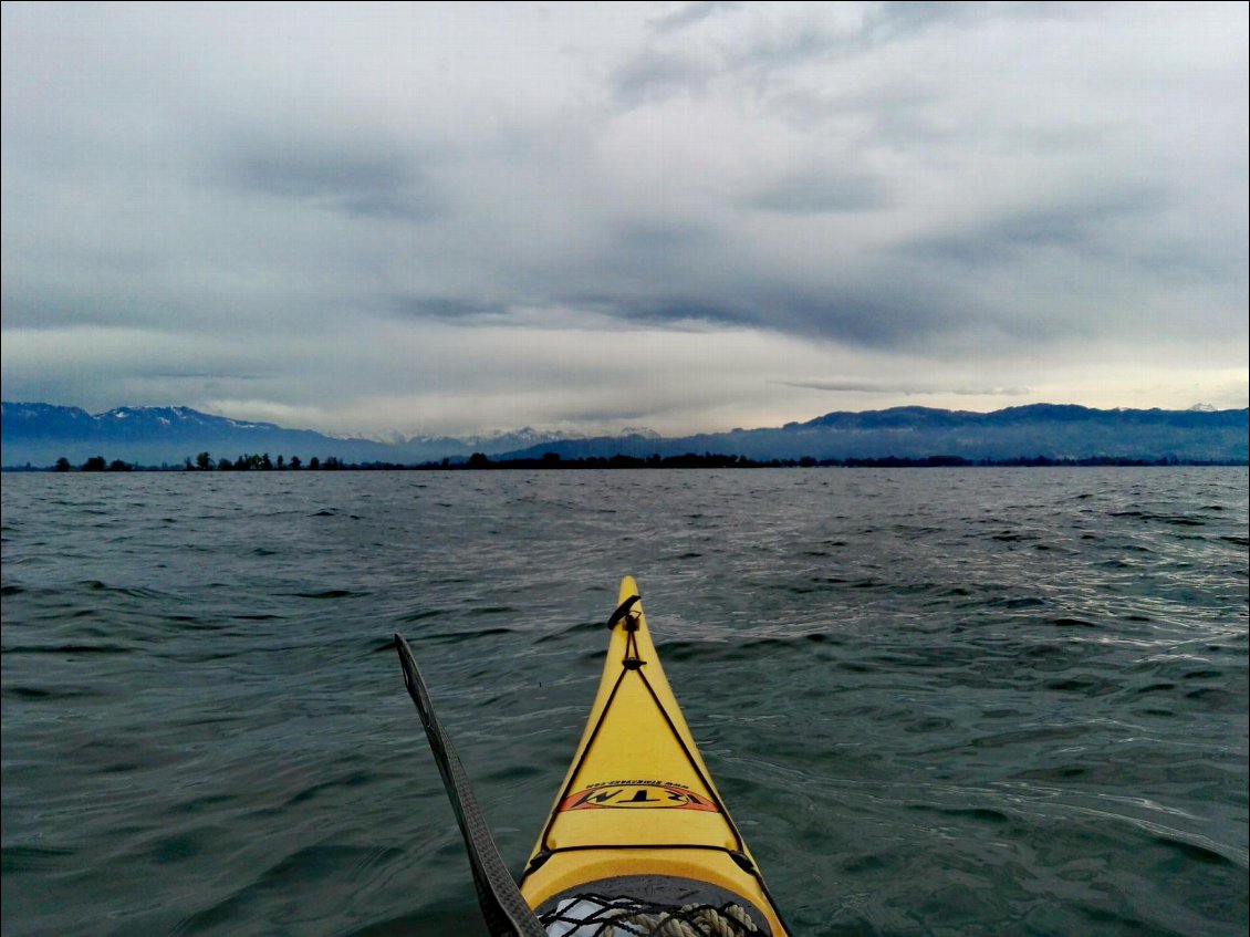 Baie de Fussach (AUT). Lac de Constance (Bodensee)