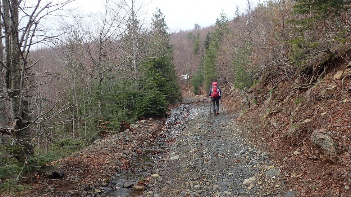 Souvent, la piste se transforme en ruisseau...