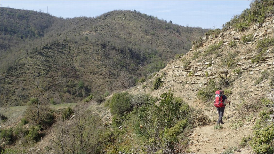 Sur les chemins à chèvre