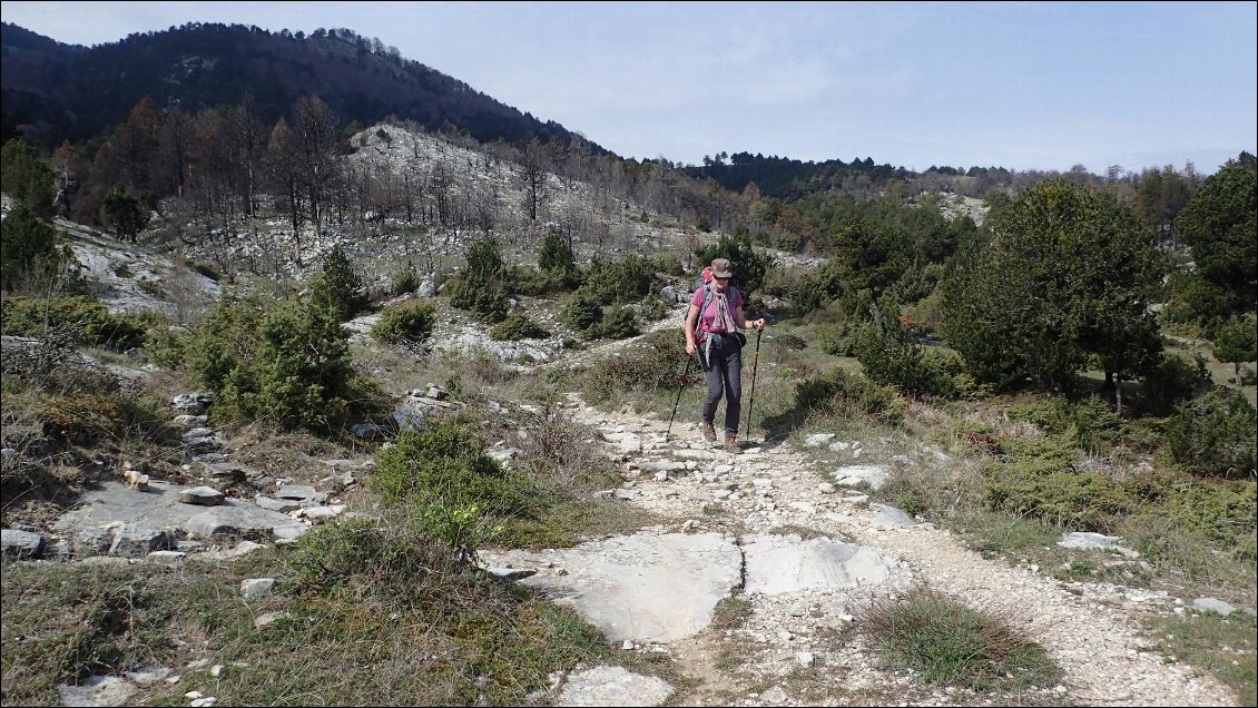 Des zones de forêt ont été brûlées, sans doute suite à un écobuage mal maitrisé