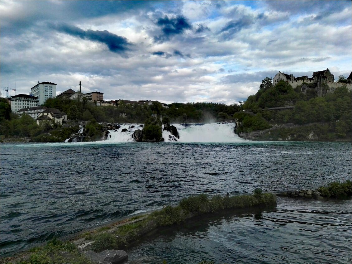 Neuhausen am Rheinfall (CH). Chutes du Rhin en aval