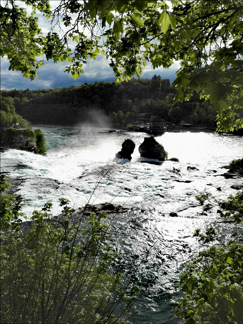 Neuhausen am Rheinfall (CH). Amont des chutes du Rhin