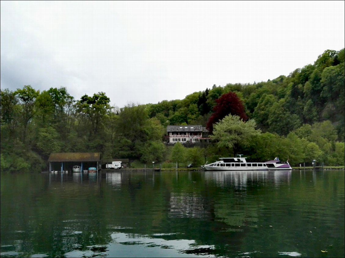 Tour en bateau sur le Rhin près de Freienstein-Teufen (CH)