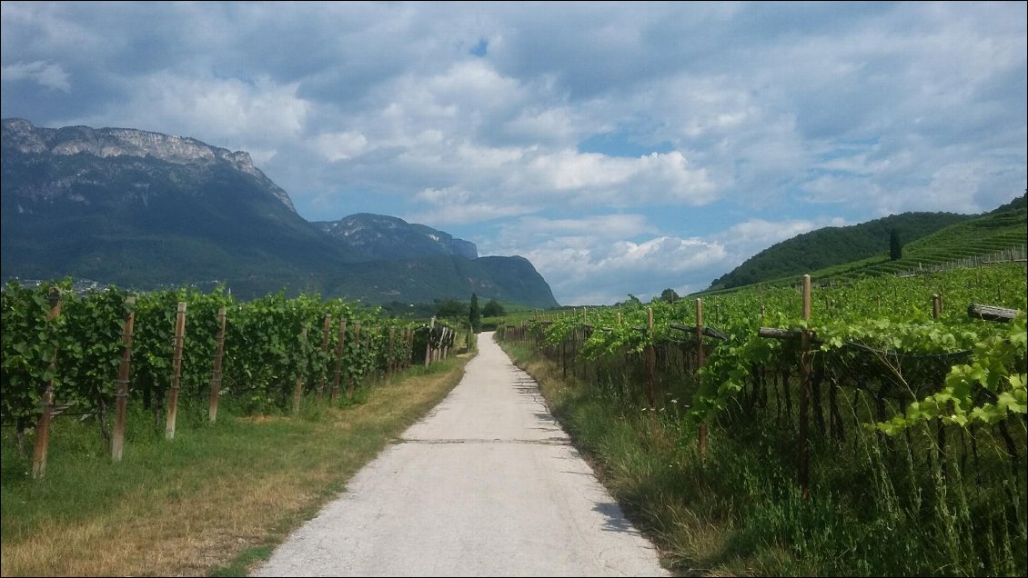 La route du vin 😋