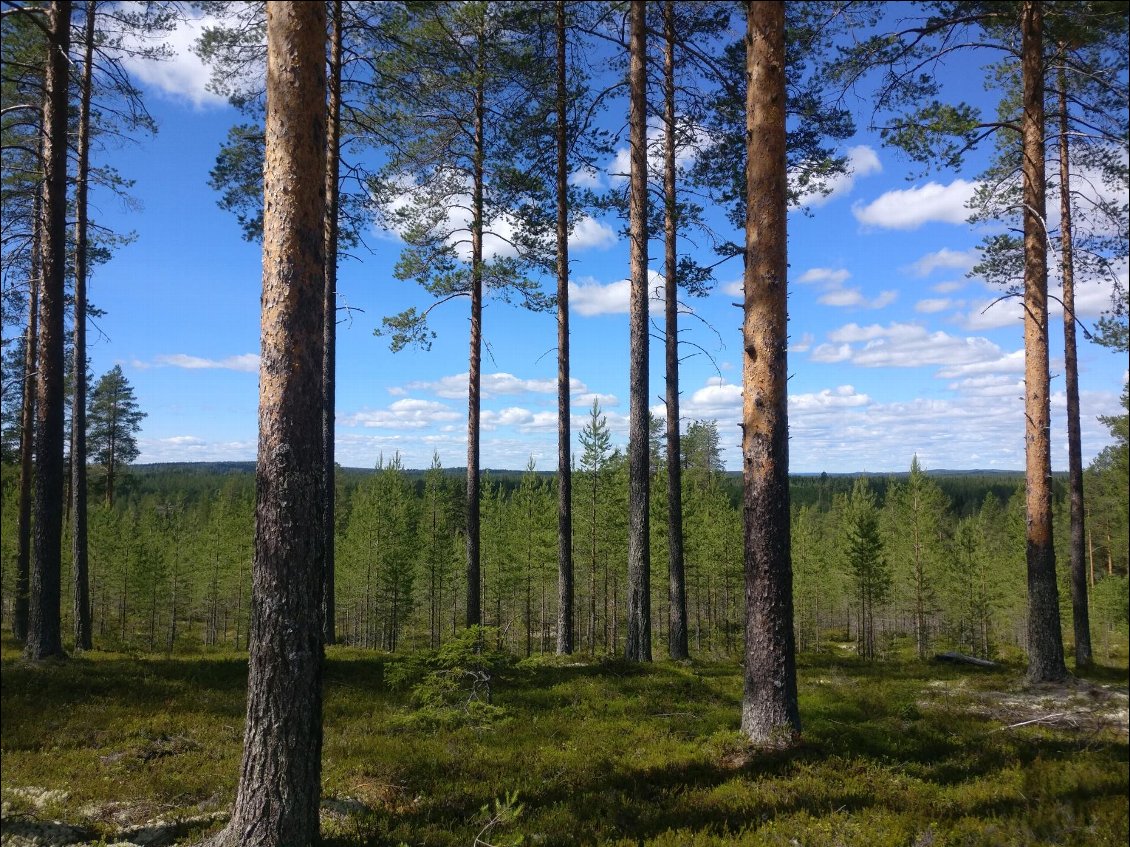 Le paysage vers Kontiomaki