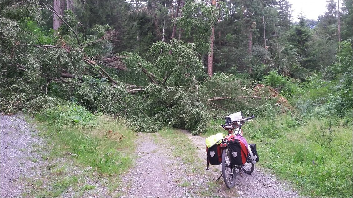 Passage a travers la forêt en mode Indiana Jones. J en ai perdu mon rétro 😕