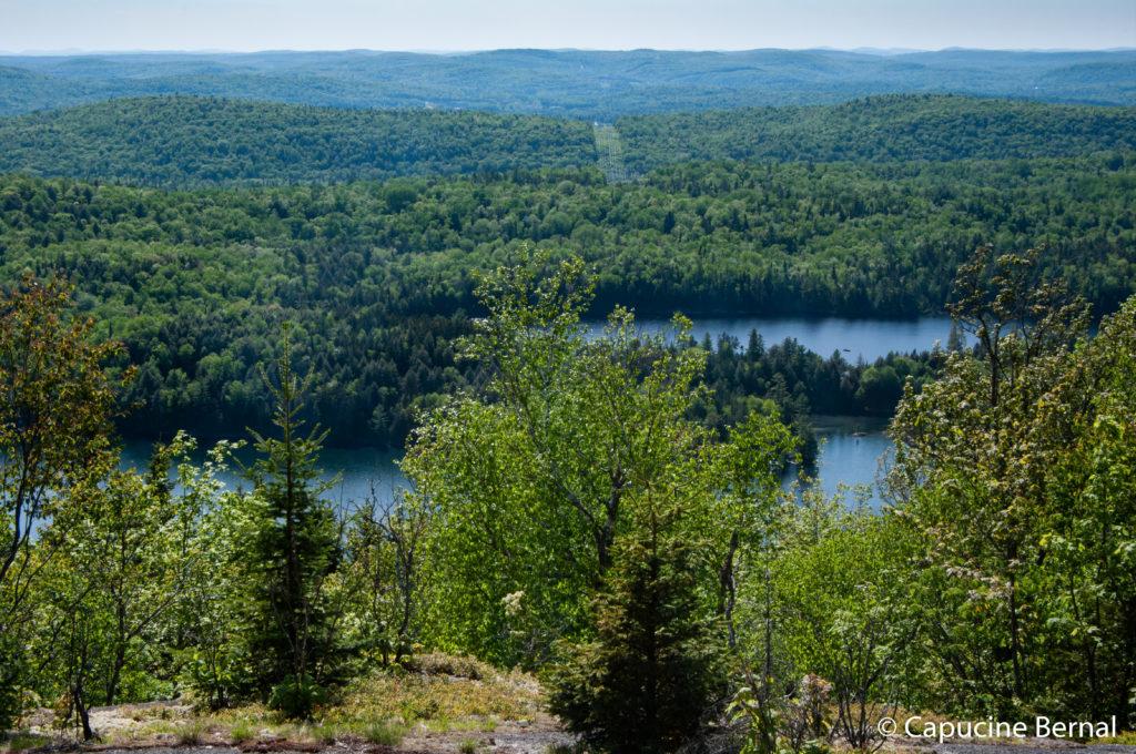 Tadoussac