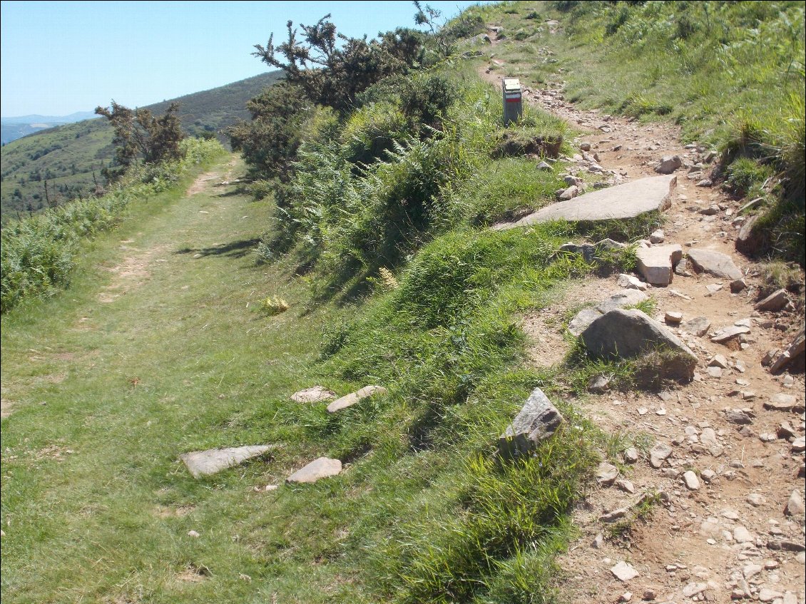 Si tu hésites entre deux chemins (et que t'es pas assez dégourdi pour voir la balise !), prends toujours celui qui monte !