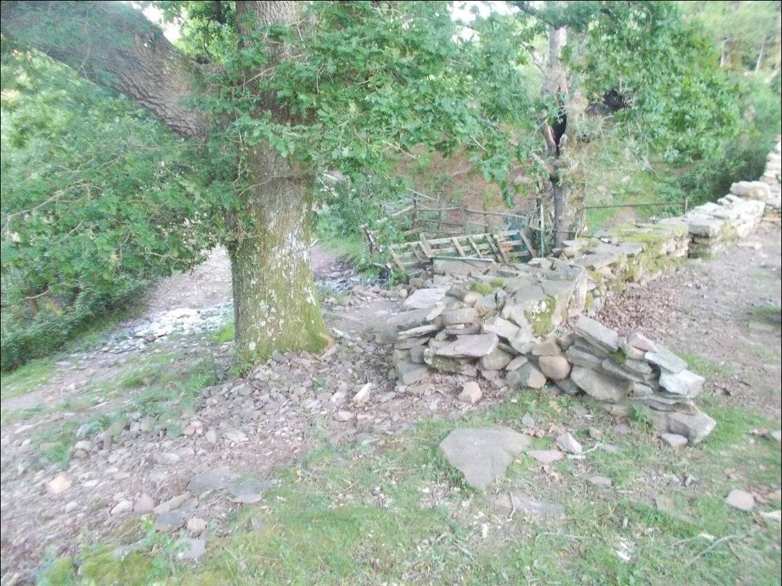 Petite salle d'eau en contrebas pour vaisselle et toilette de chat.