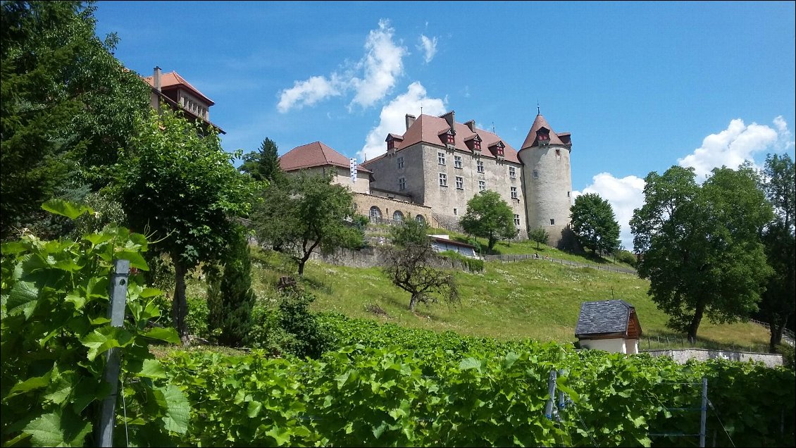 Le château de gruyère