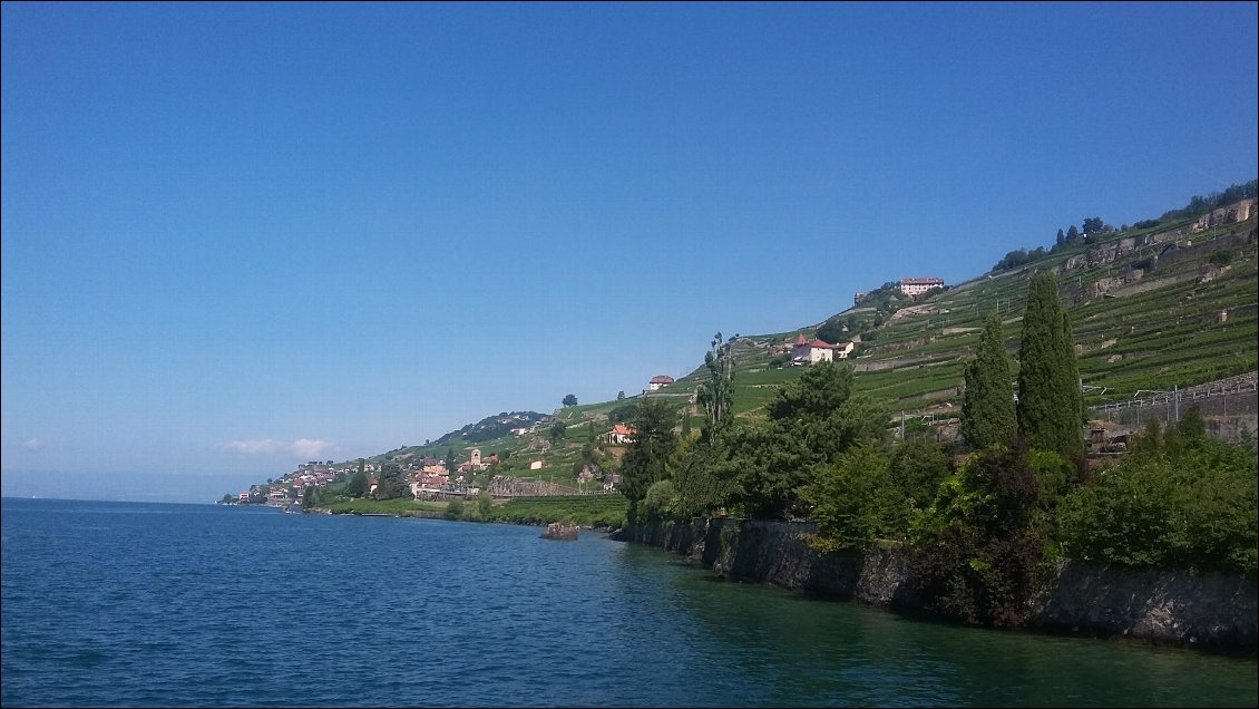 Le camping est au pied du vignoble de Lavaux