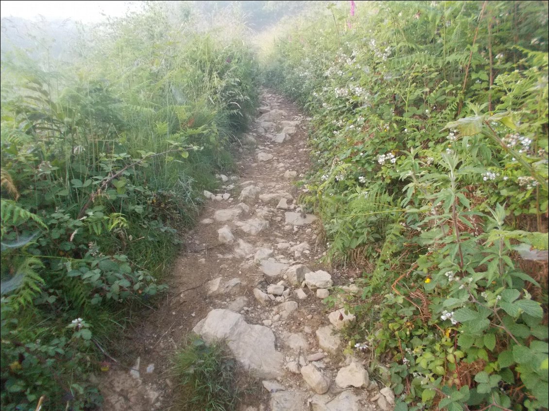 Tiens, un chemin caillassé qui grimpe de bon matin, on serait pas sur le GR10 ?...