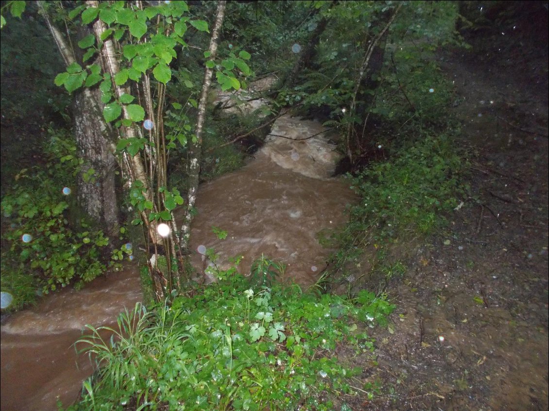 La pluie de la nuit a gonflé les cours d'eau.