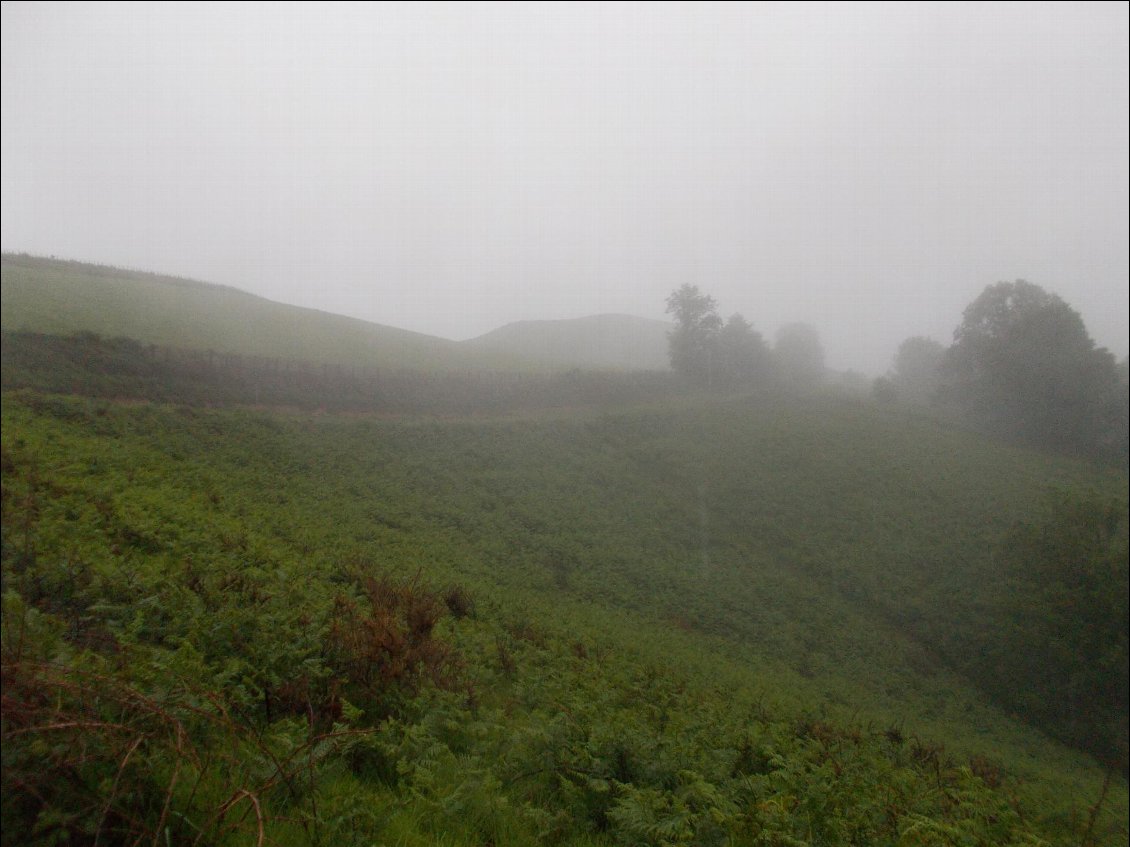 La pluie et la brume m'accompagneront toute la journée.