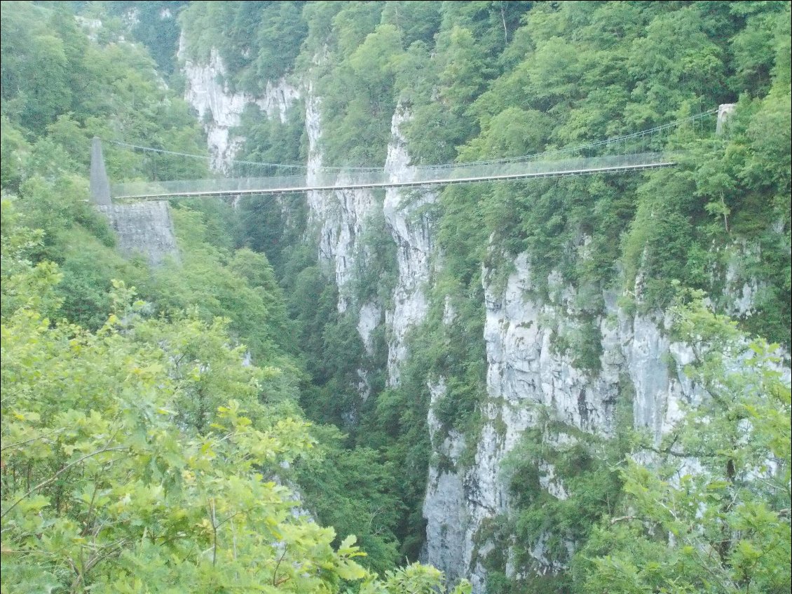 La fameuse passerelle d'Holzarté.