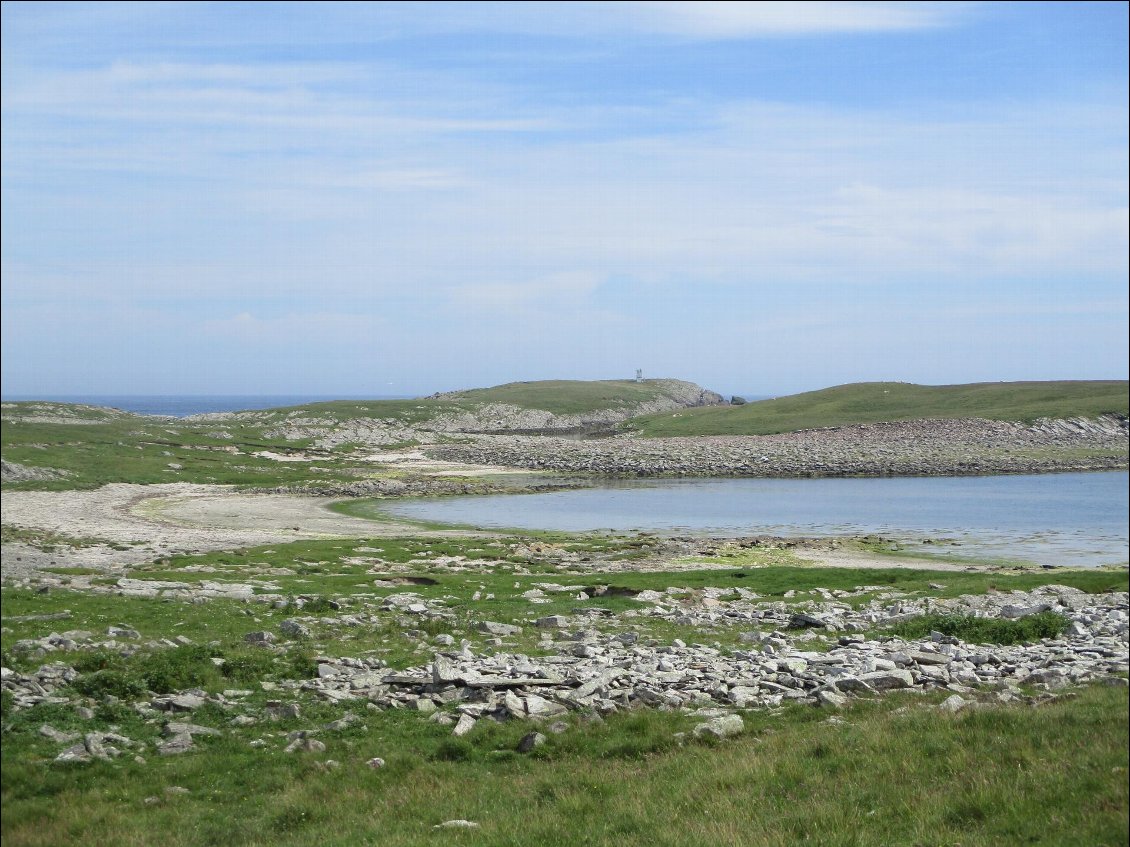 L'île de Mousa. Il paraît que parfois on peut apercevoir des orques venus se faire un petit goûter parmi les phoques. Mais rien aujourd'hui.