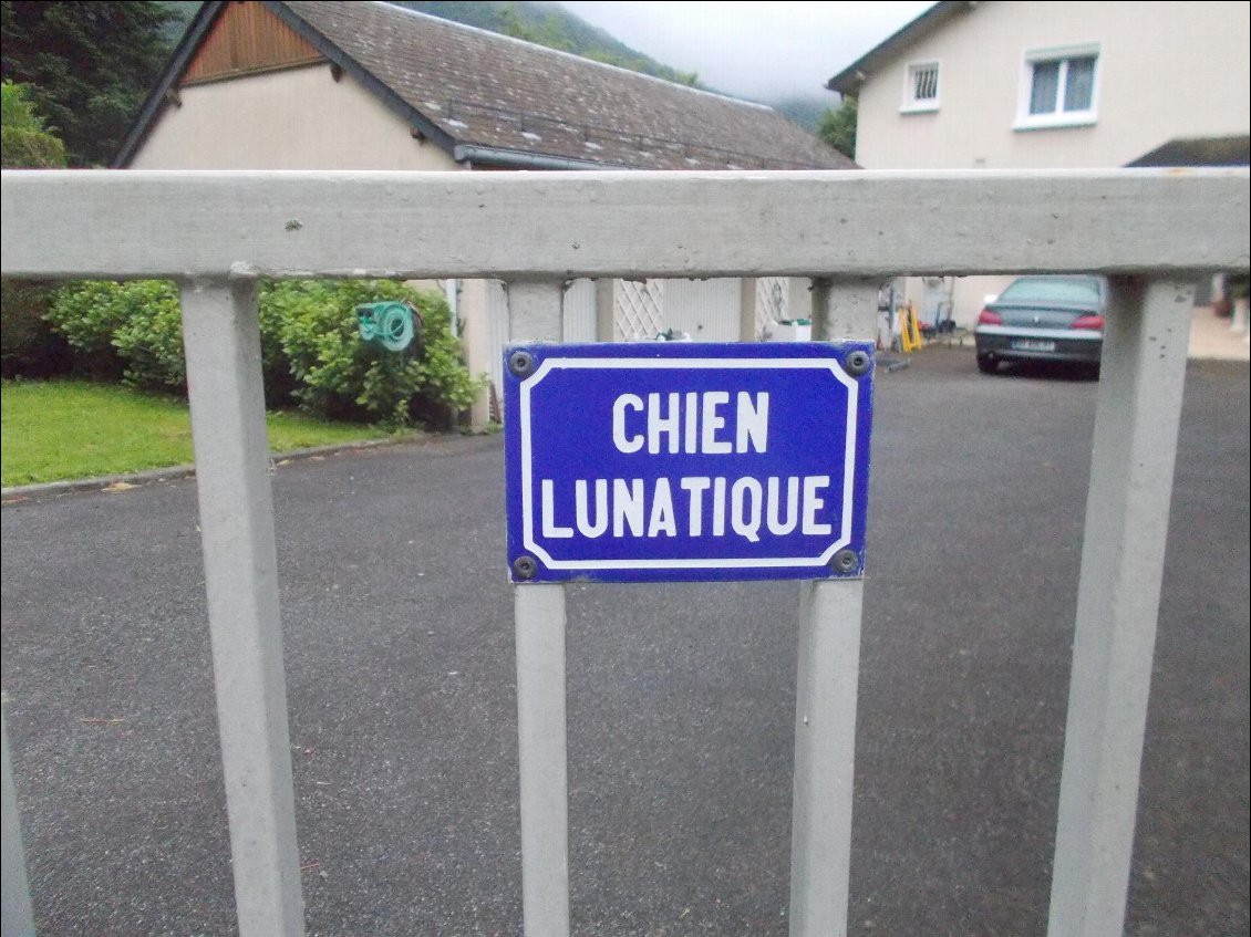 Chien qui aboie à la lune ?