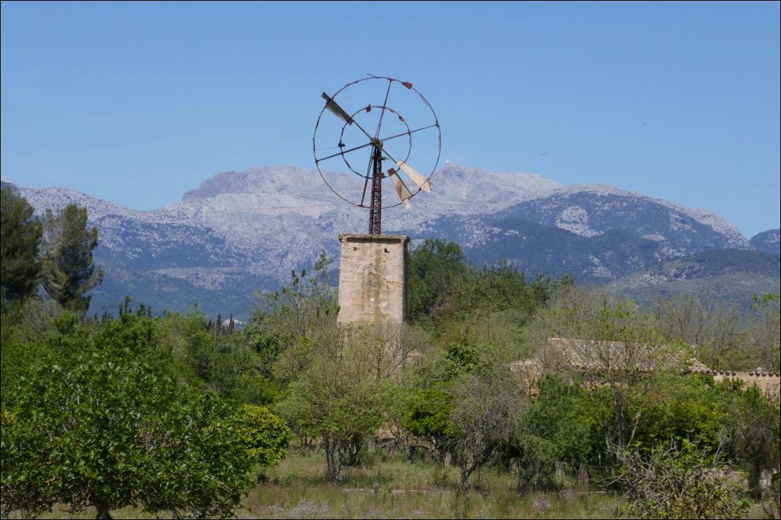 On en trouve de nombreux dans l'île. On aurait aimer reculer dans le temps pour les voir fonctionner.