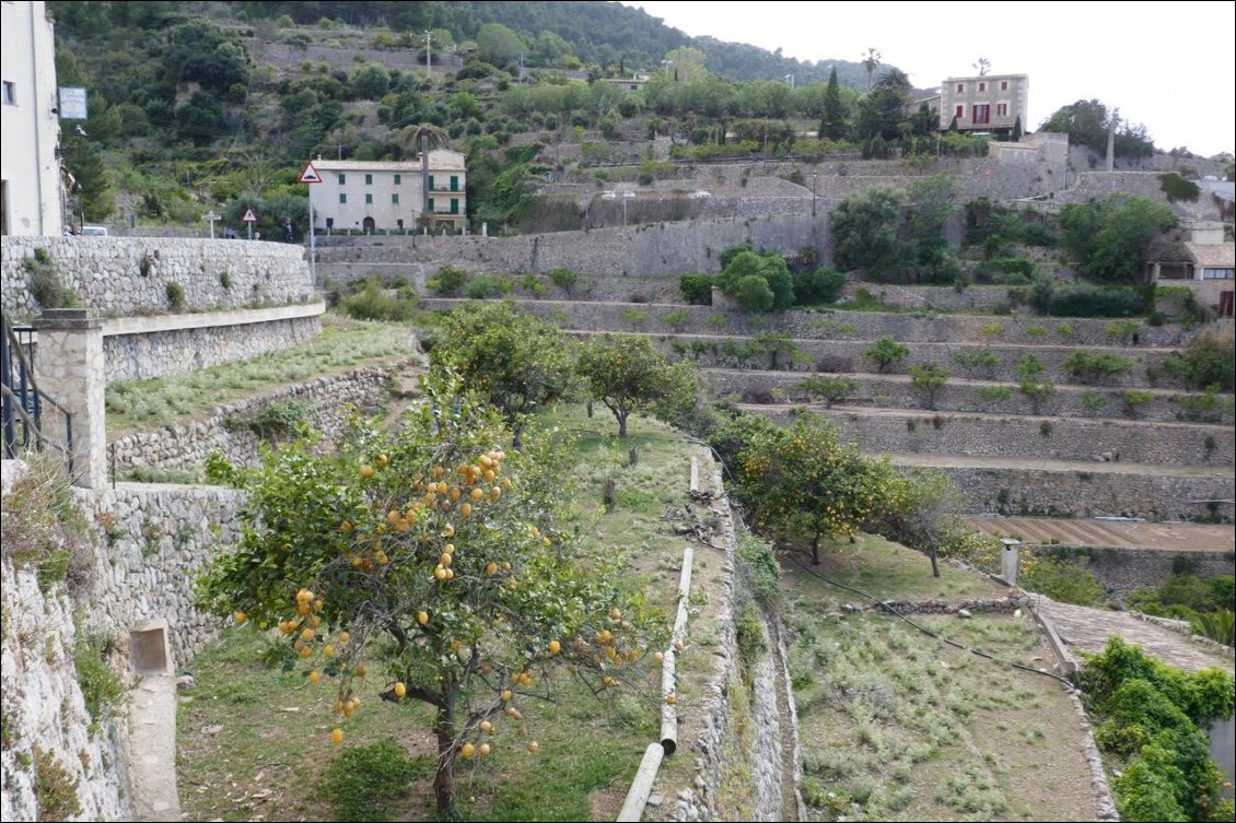 Terrasses à gogo