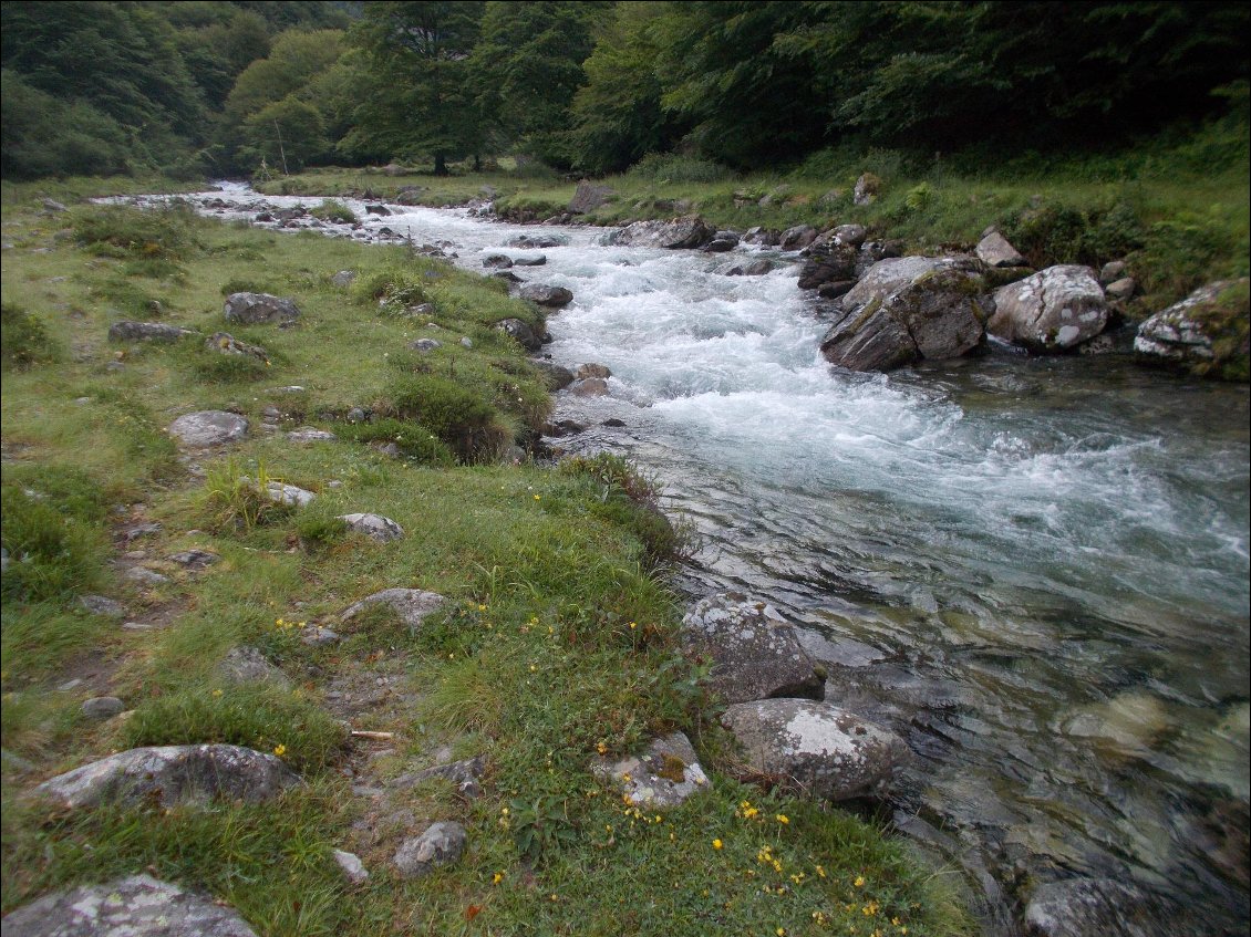 C'est plus fort que moi, dès que je vois de l'eau qui galope...