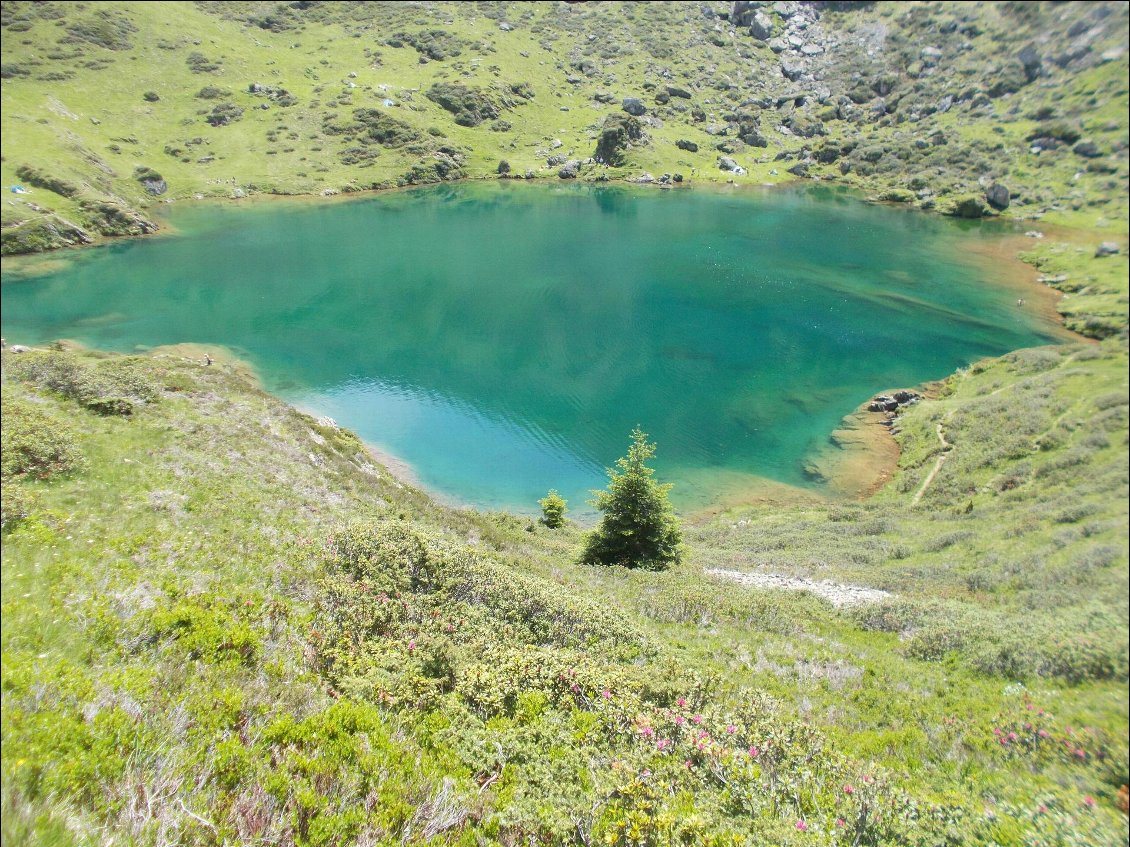 Piscine naturelle.