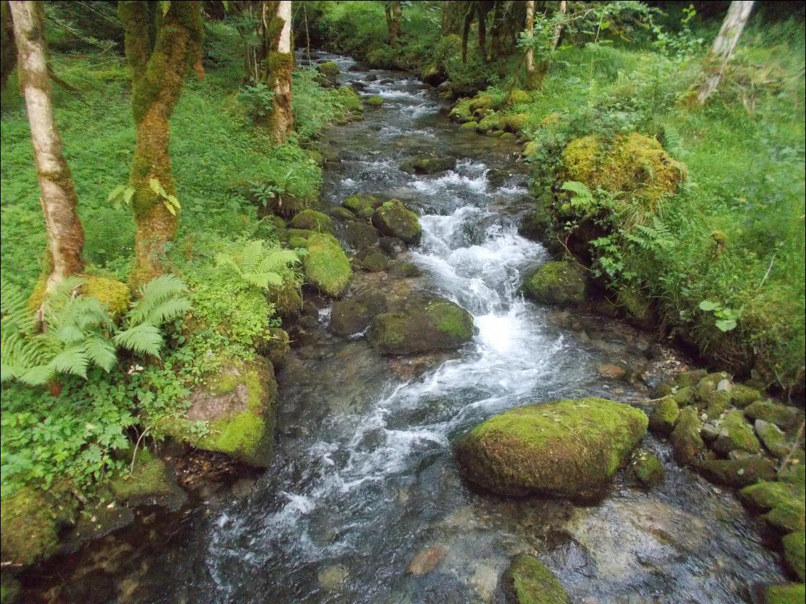 De l'eau, du vert : le bonheur !