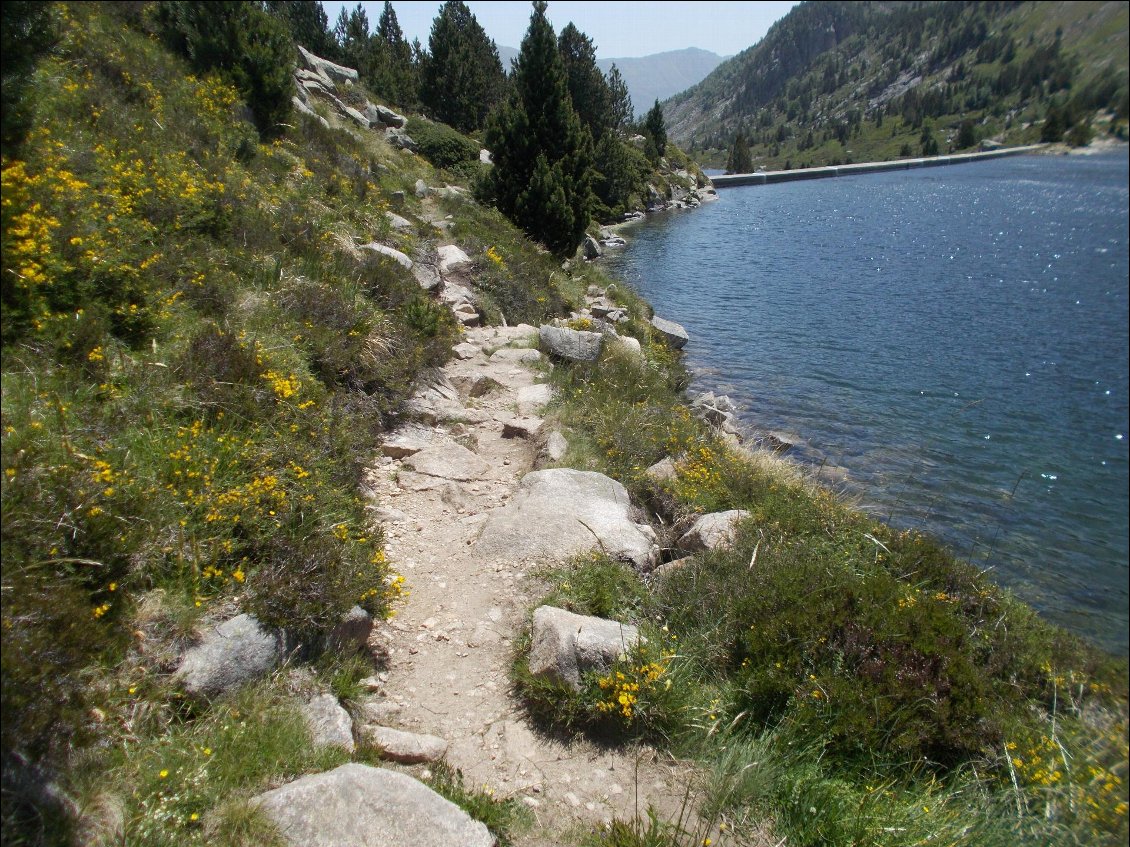 Le chemin longe l'étang Majeur jusqu'à son barrage.