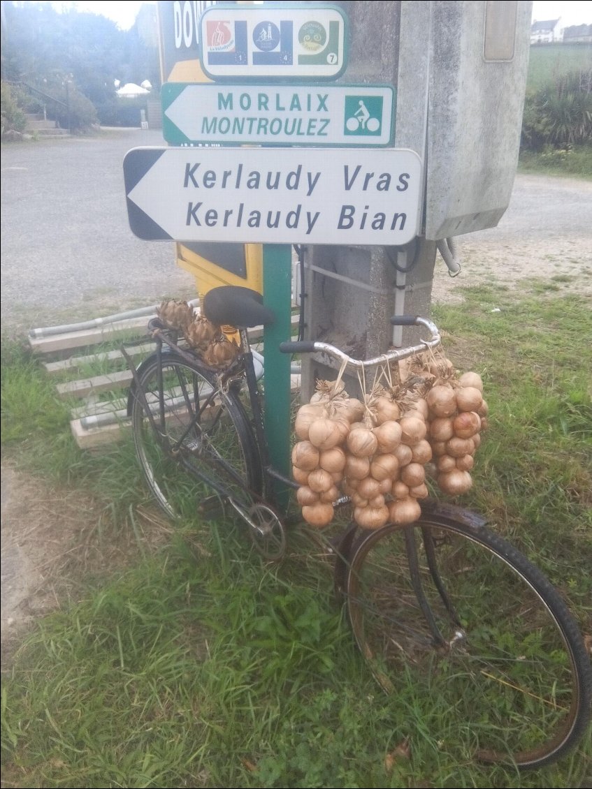 L'oignon livré en vélo : toute une tradition d'époque.