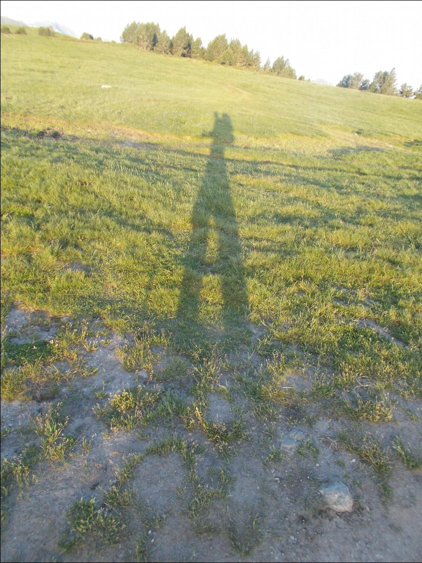 Giacometti sur herbe.