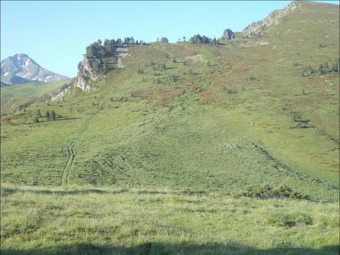 Chemins en stéréo.