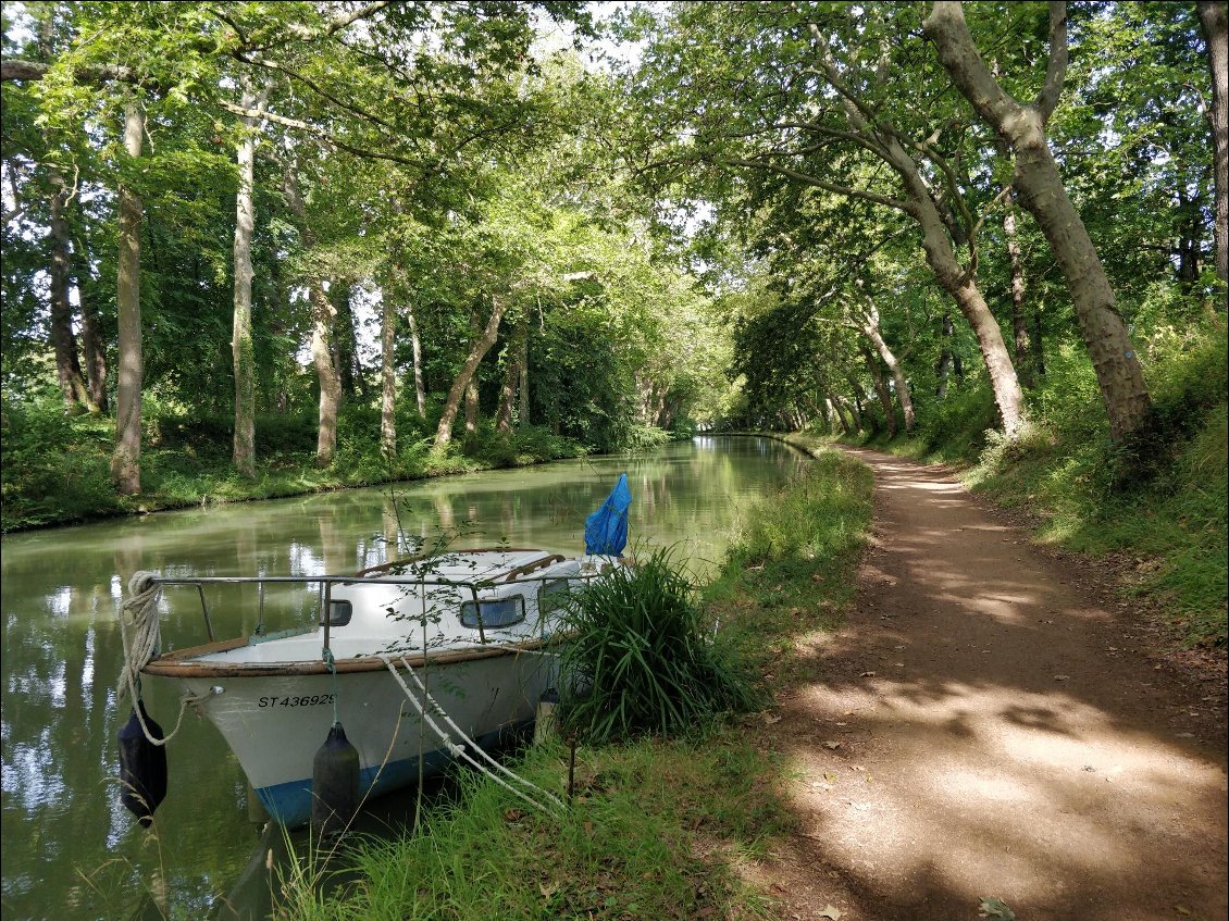 le canal du midi