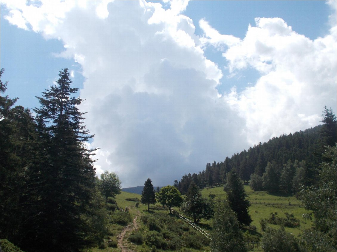 Ça arrive devant aussi ! La cabane est au bout de ce chemin à 200m.