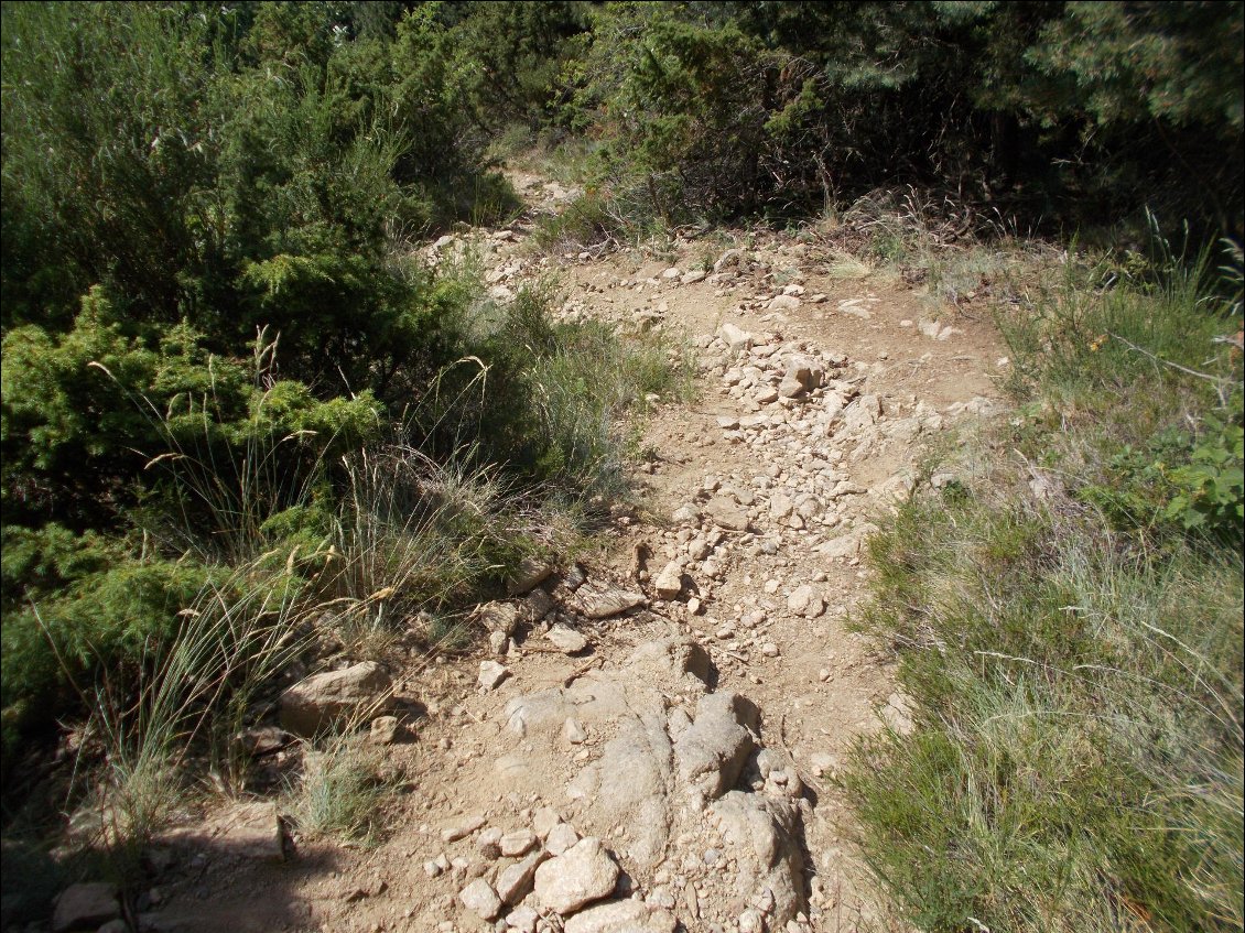 L'interminable descente vers Arles.