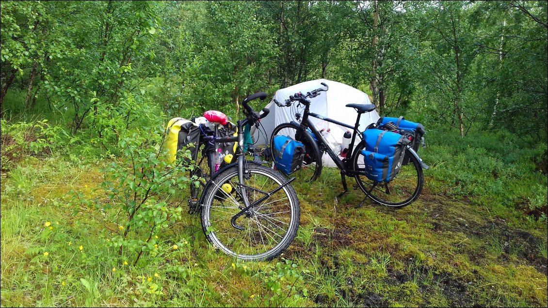 Bivouac dans la forêt