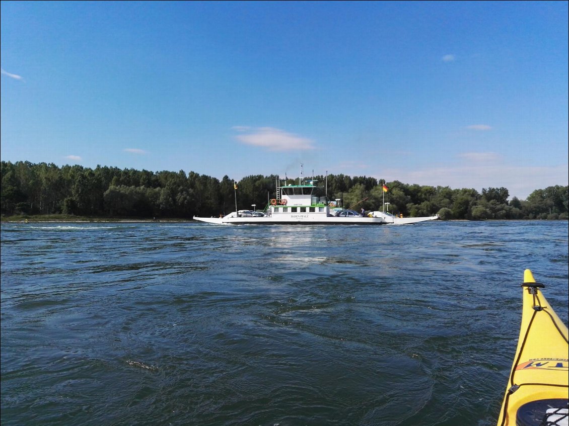 Bac entre Neuburg am Rhein (DE) et Neuburgweier (DE). Compagnie de ferry : Car ferry Neuburg