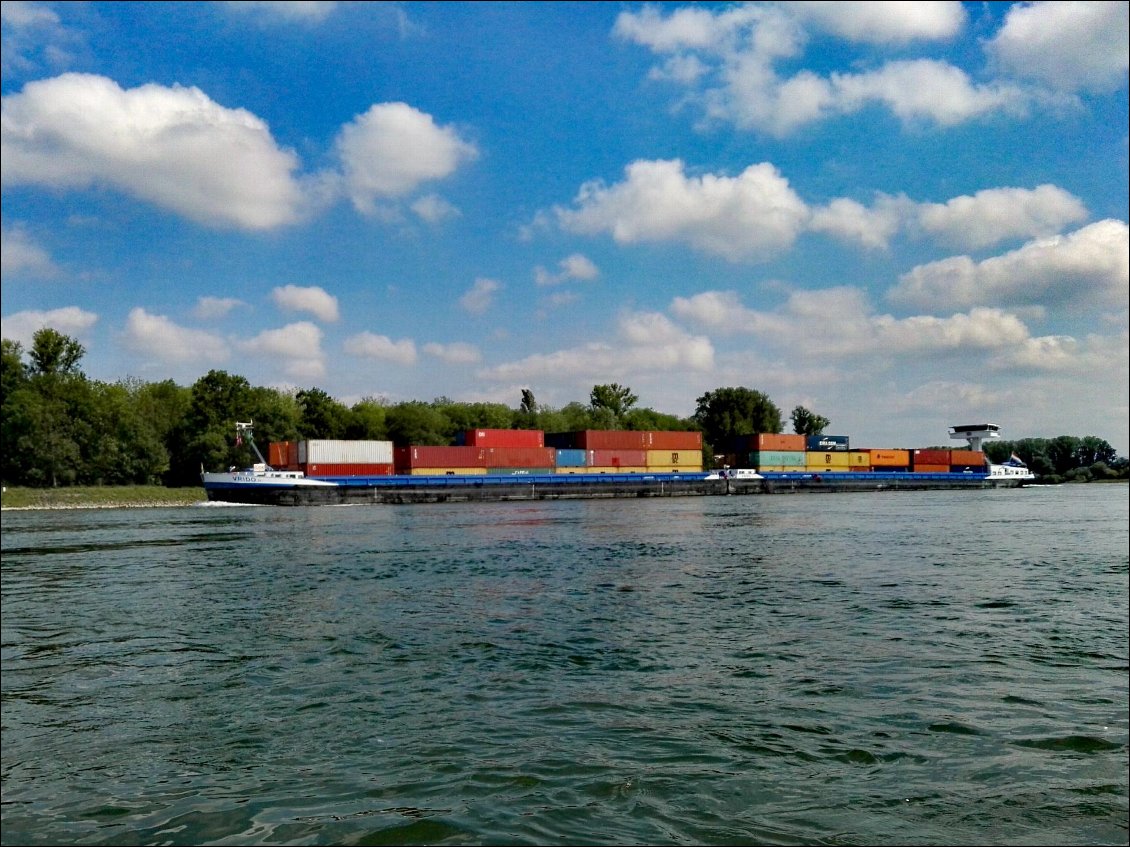 Le "Vrido". Convoi fluvial moderne composé d'un pousseur et d'une barge. L'ensemble dépasse les 200 m. de long.