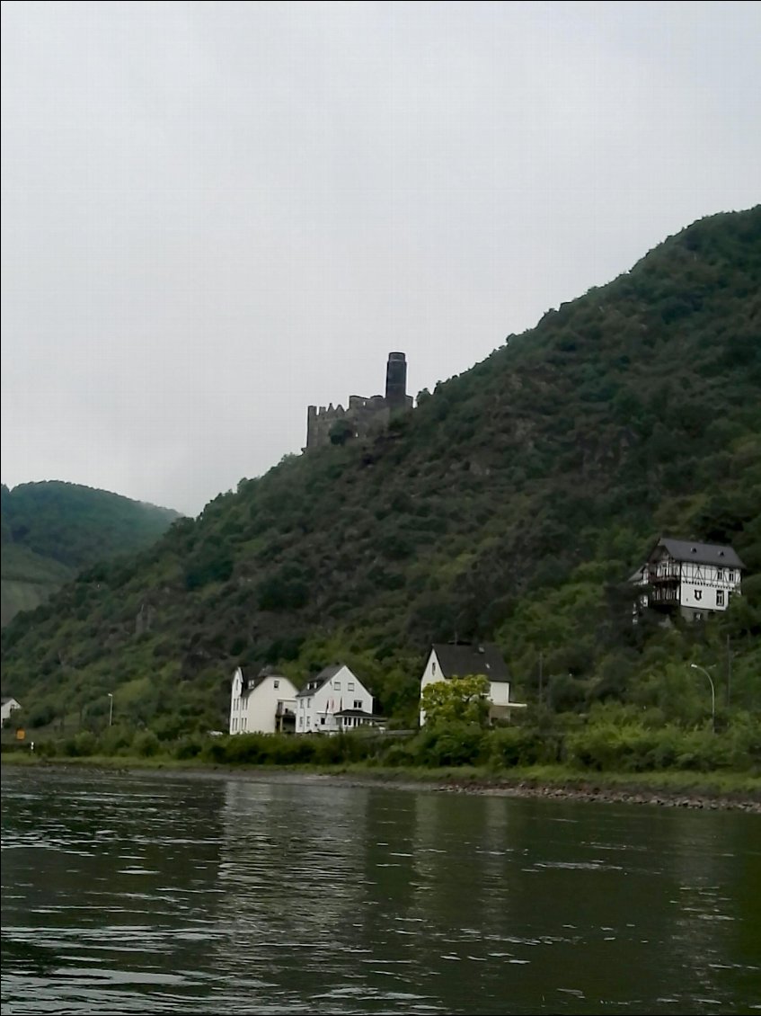 Wellmich (DE). Château de Maus (Château de la souris)