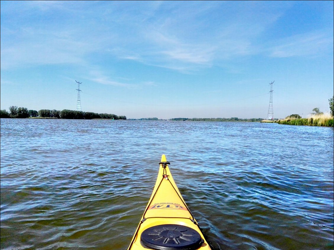 Parc naturel de Biesbosch