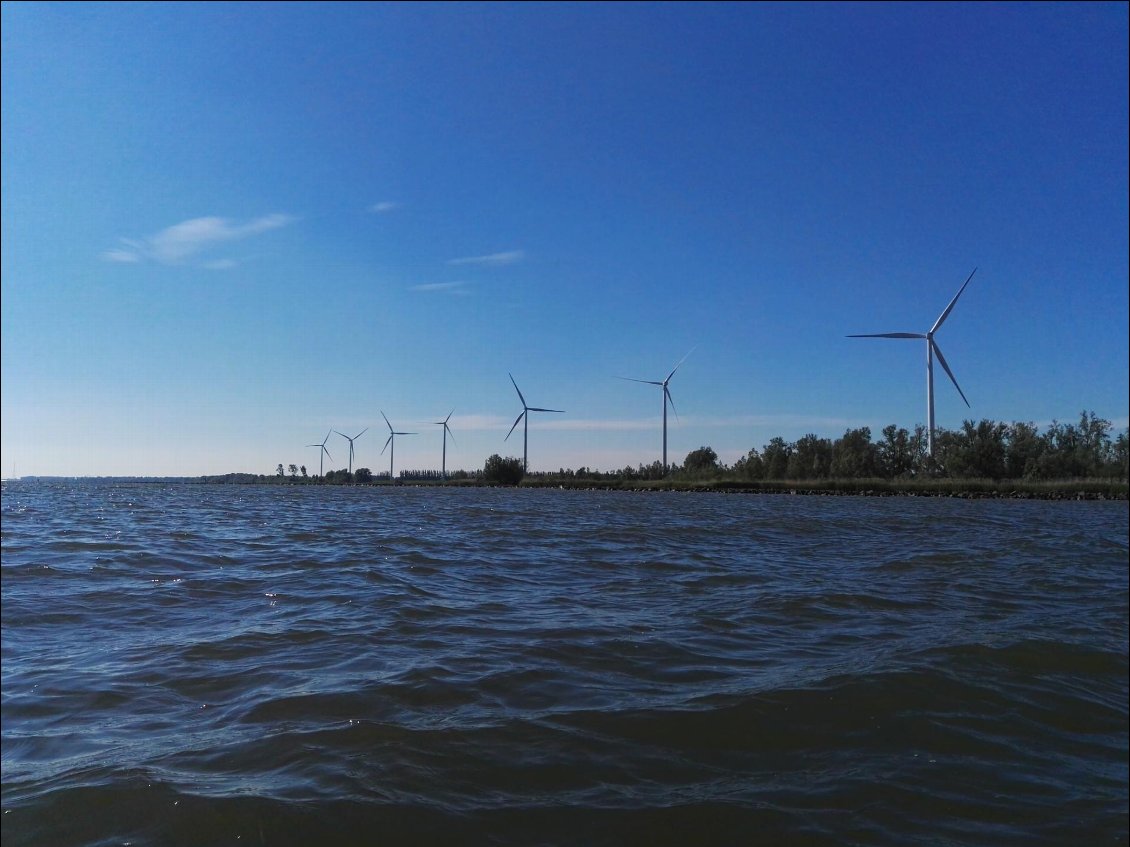 Haringvliet (NL).Eoliennes